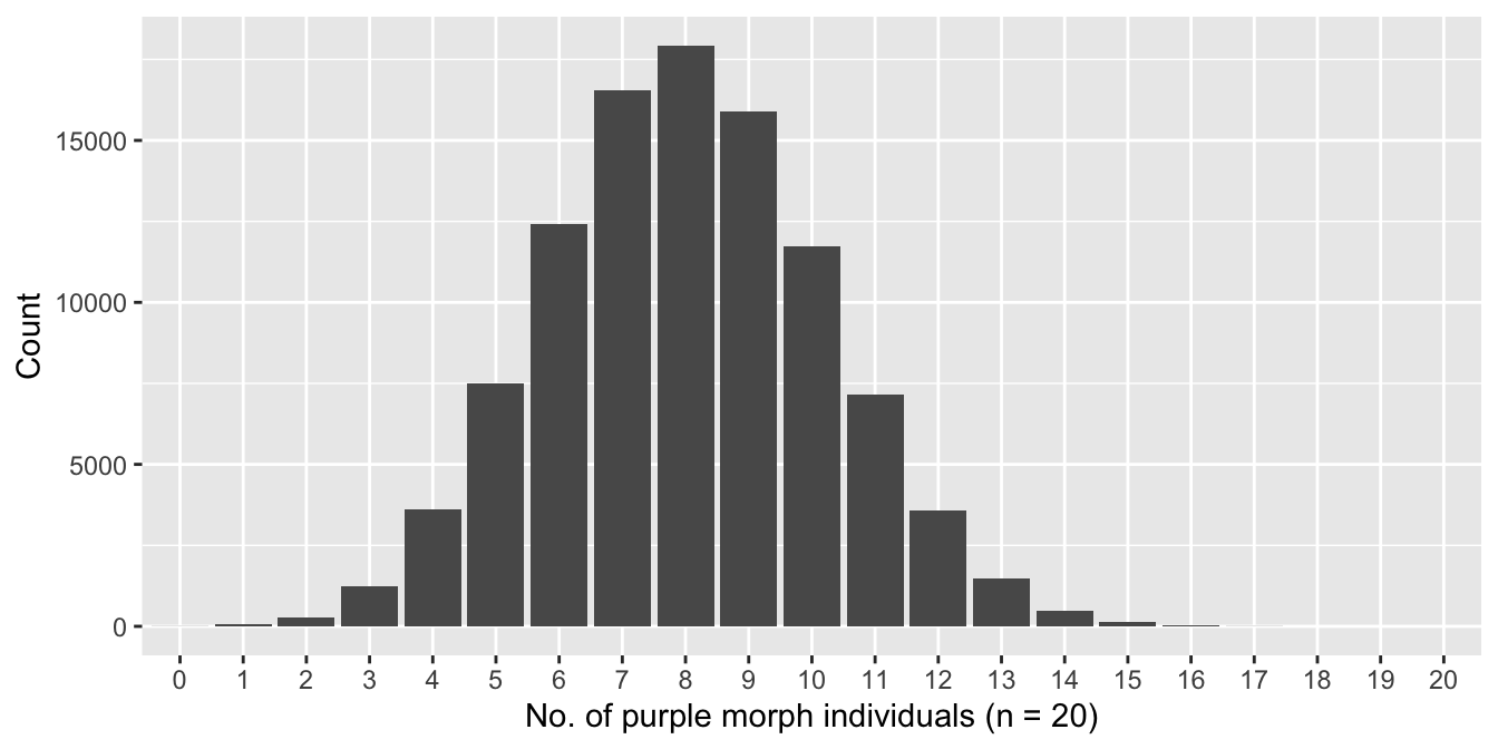 Distribution of number of purple morphs sampled (n = 20)