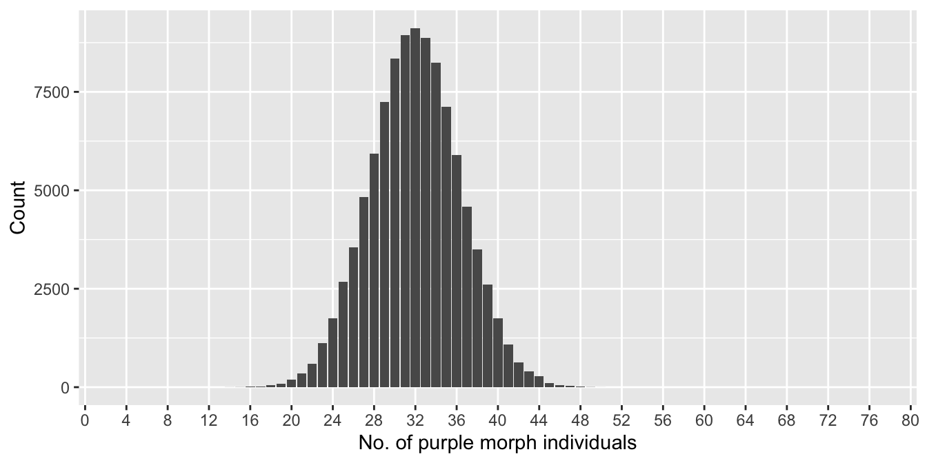 Distribution of number of purple morphs sampled (n = 80)